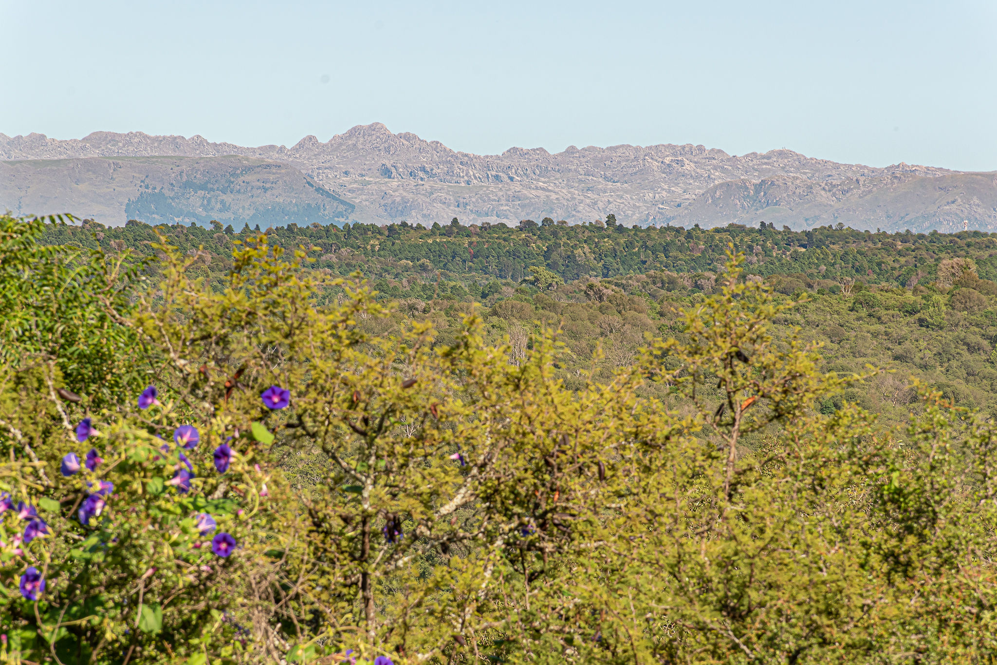 Cabañas en las sierras